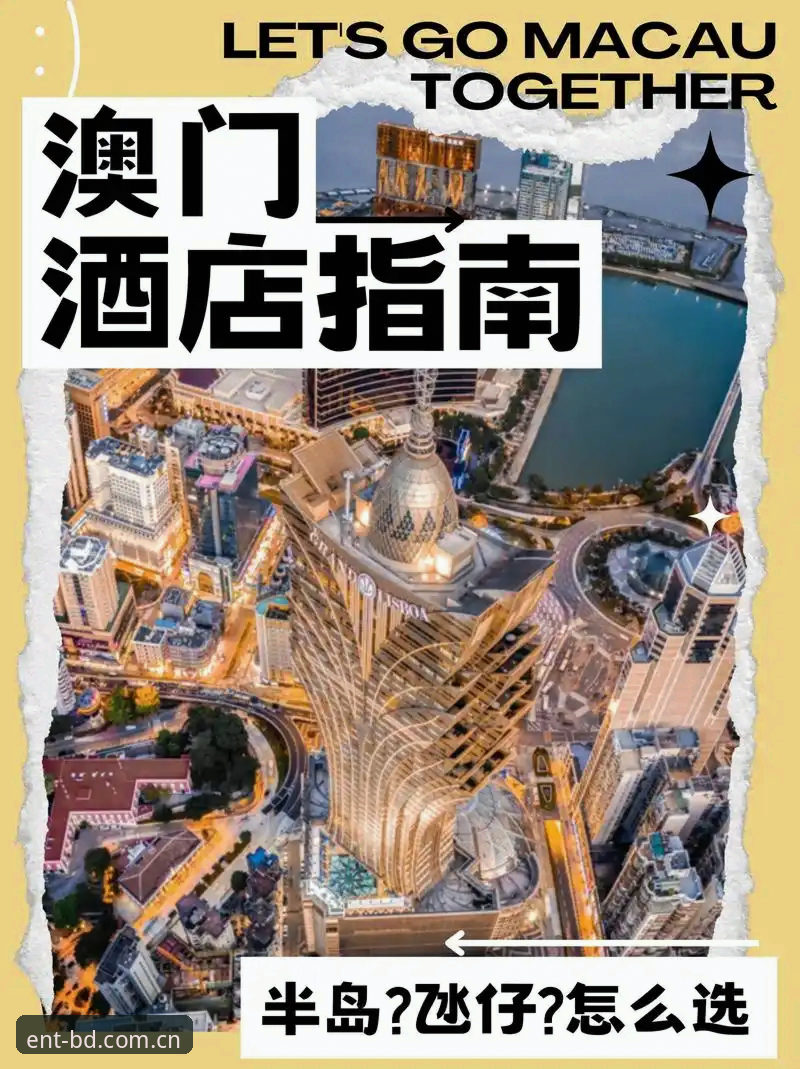 半岛体育平台实用指南：如何高效掌握半岛娱乐最新版本的核心功能